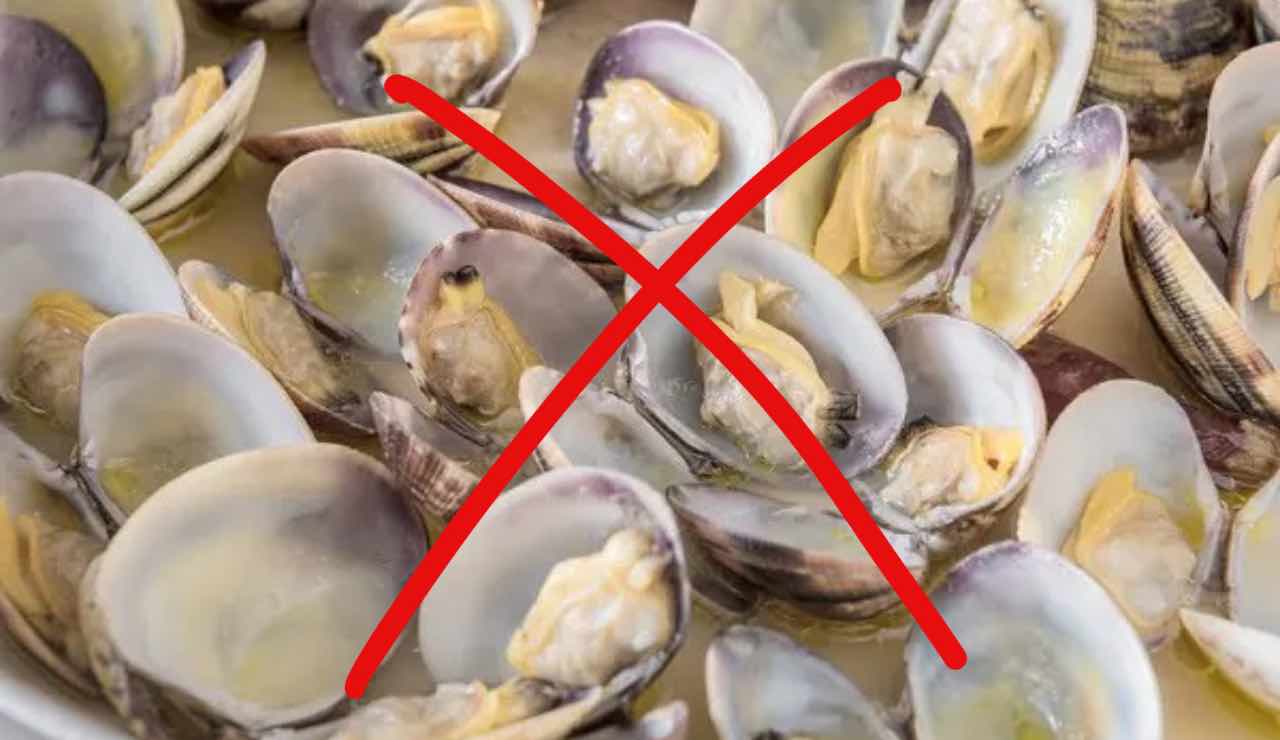 No vongole