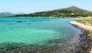 Illustrazione dell'isola dell'Asinara (Canva FOTO) - sciencecue.it