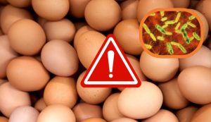 Illustrazione di un pericolo Salmonella (Canva FOTO) - sciencecue.it