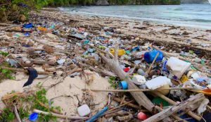 Illustrazione di una spiaggia inquinata (Canva FOTO) - sciencecue.it