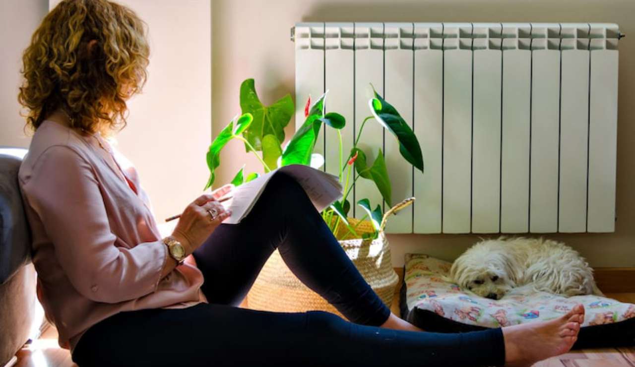 Donna che legge in casa