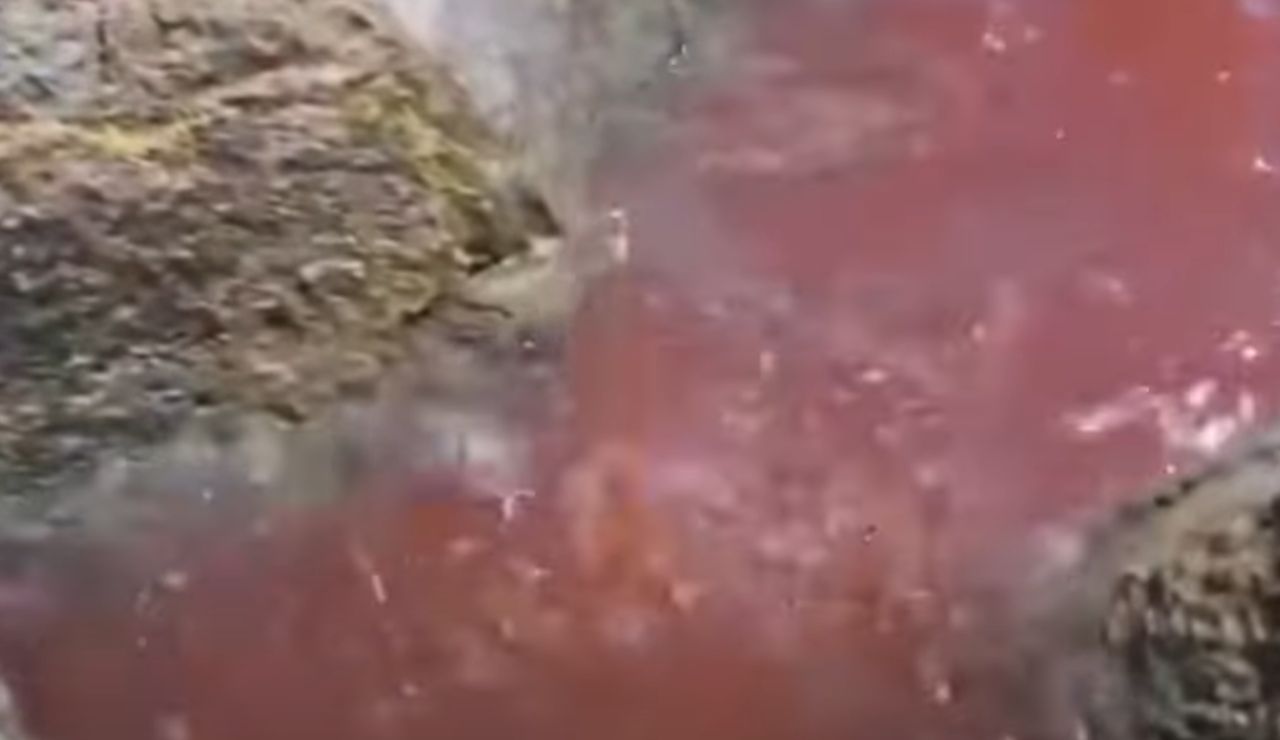 Mare rosso Galilea