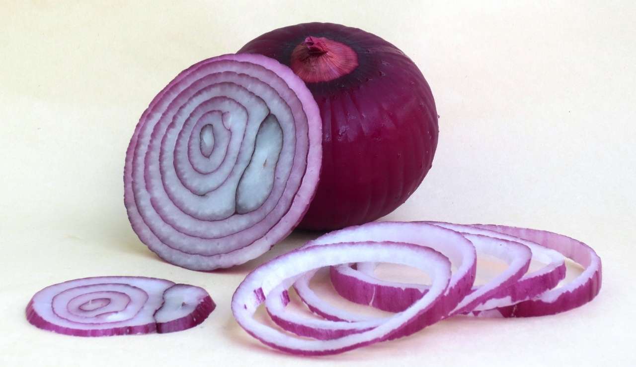 Cipolla