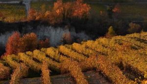 Langhe in autunno
