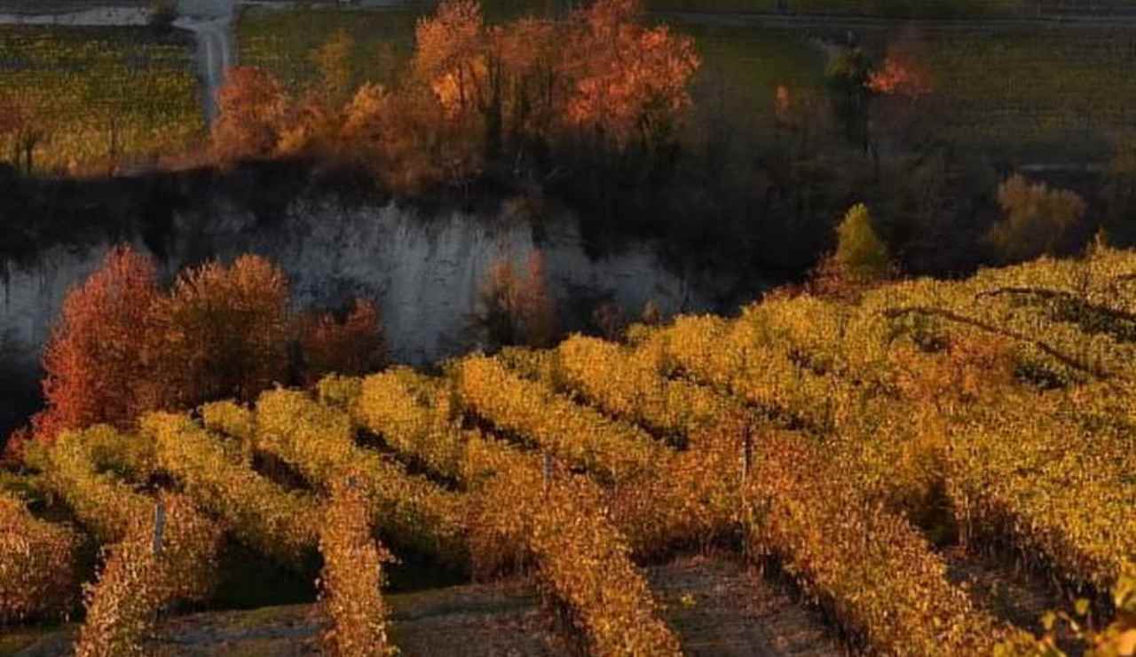 Langhe in autunno