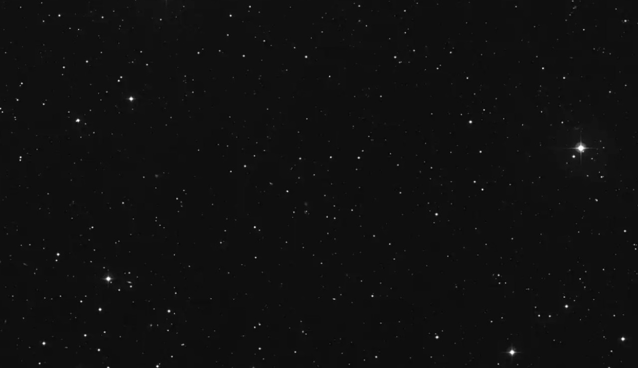 Stelle