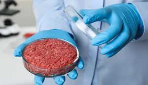 Carne coltivata in laboratorio (Depositphotos foto) - www.sciencecue.it